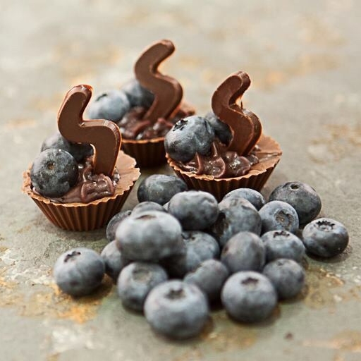 Barquinha de Blueberries - Ana Foster Chocolates
